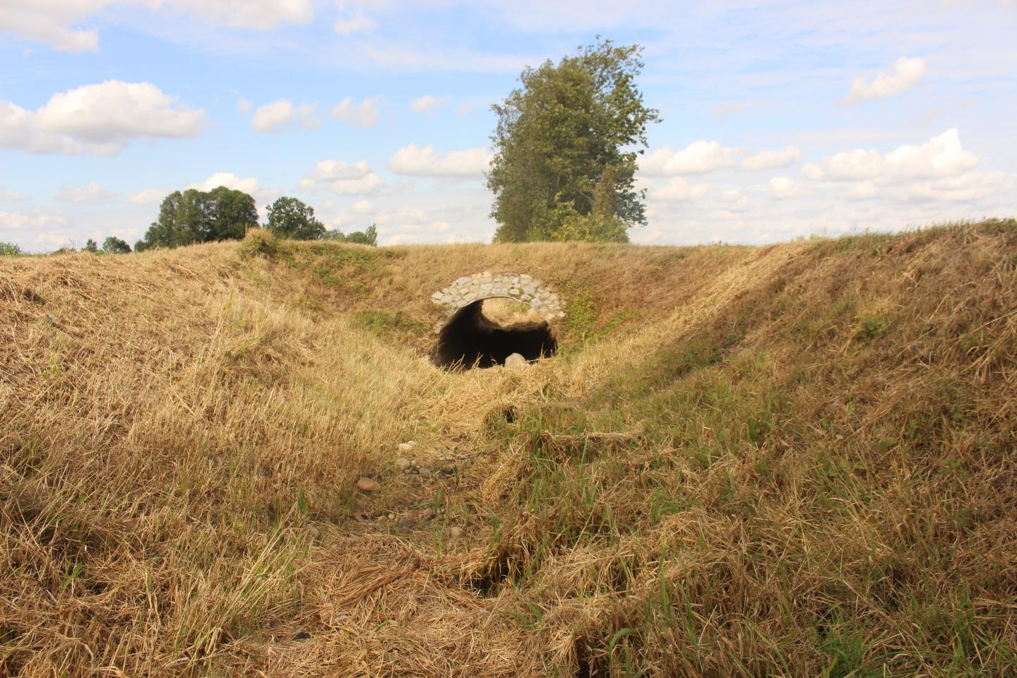 Dried out Stream Bed