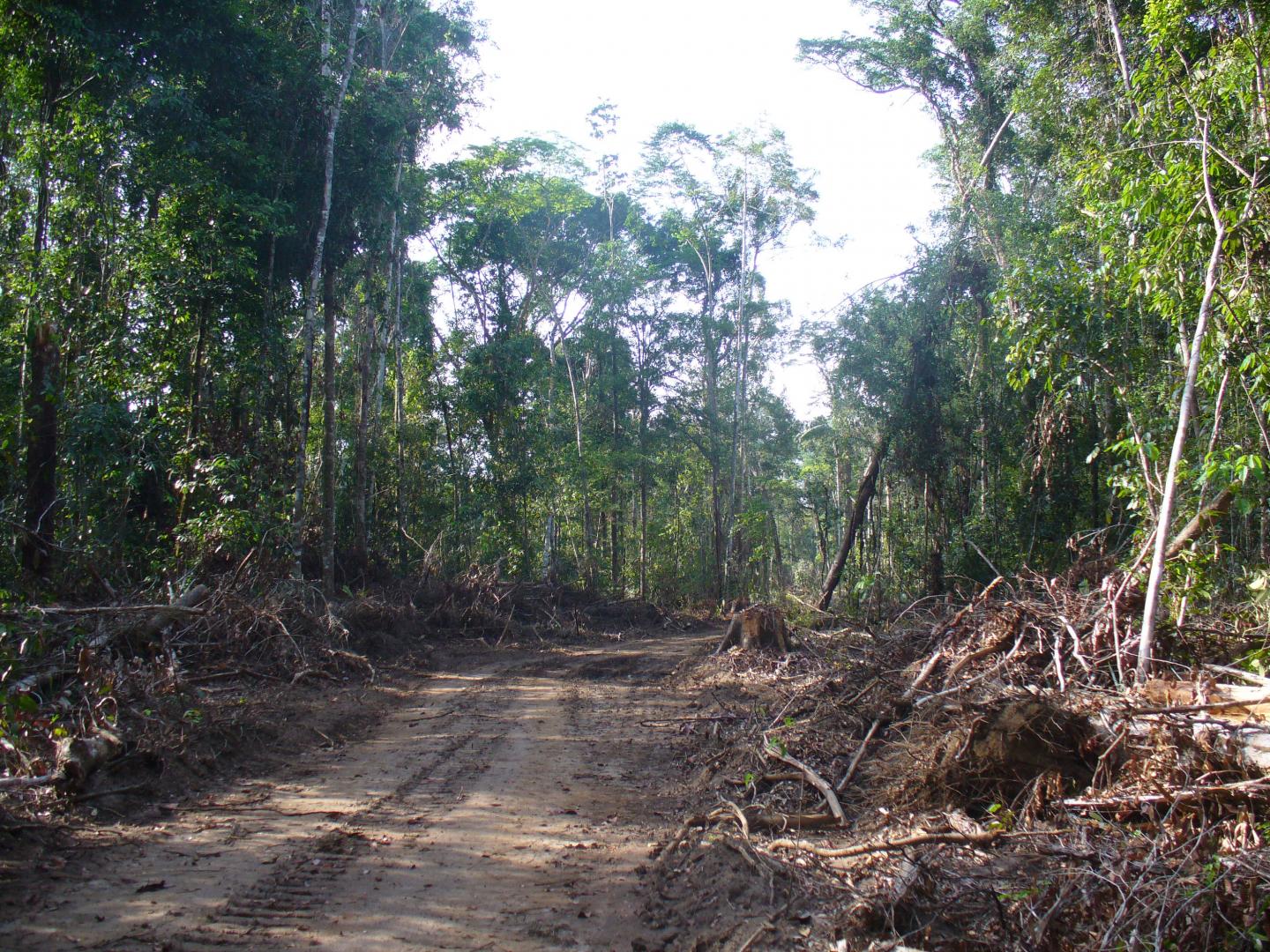 Logging Operation