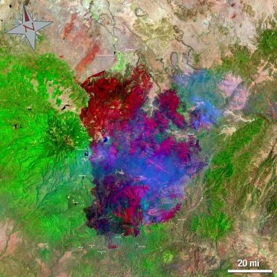 Landsat 5 Satellite Image of the Wallow North Fire