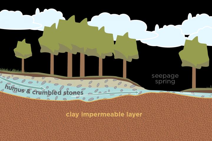 Seepage Springs