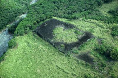The Dawn of Civilization on Maui