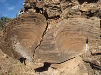 Stromatolite Column of Bacterial Mats in Australia