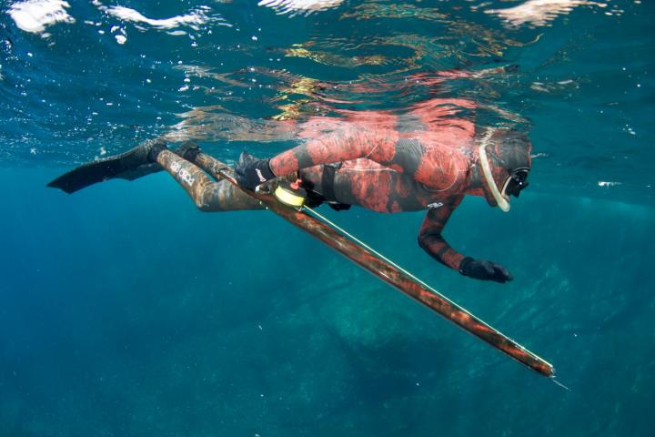 Diver with Speargun