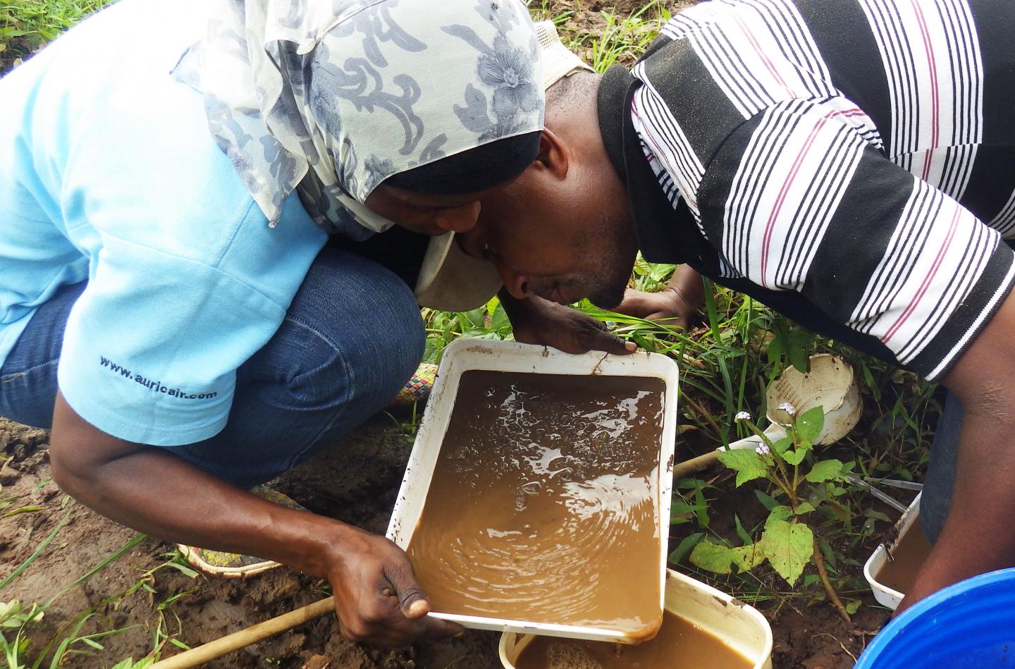 Mosquito Trials in Tanzania
