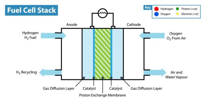 IBS Reports A High Performance Nanoparticle Electrocatalyst (2/2)