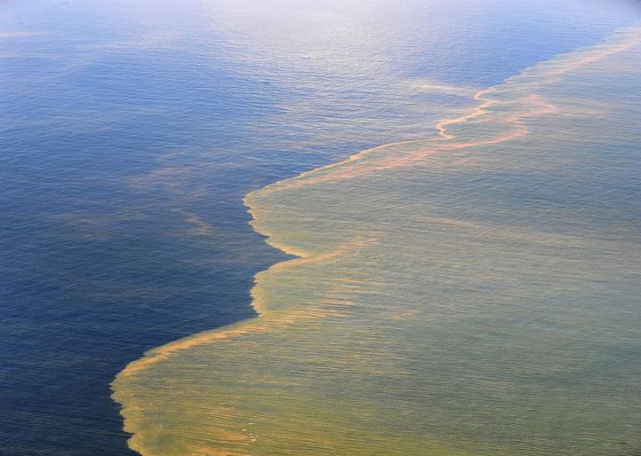 BP Oil Spill