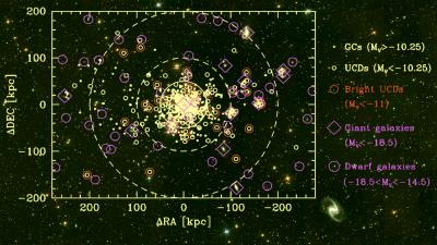 Stellar Systems in the Fornax Cluster: Galaxies, Globular Clusters, and UCDs.