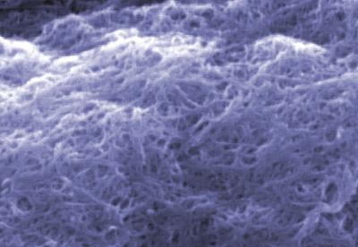 Carbon Nanotube Measurements: Latest in NIST 'How-To' Series
