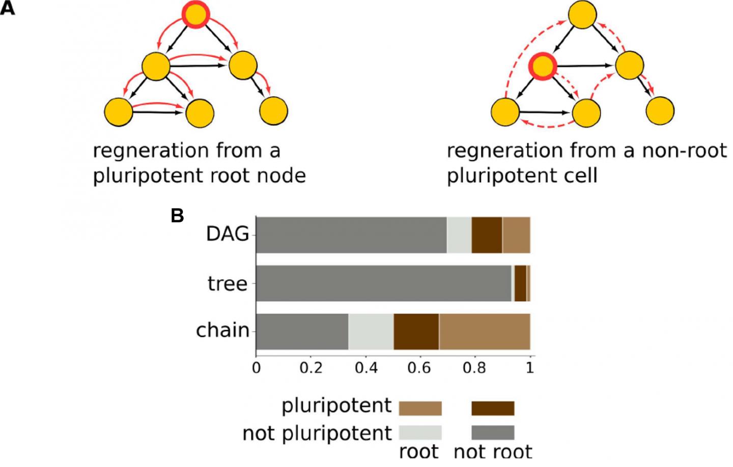 Figure 3 Image Eurekalert Science News Releases 