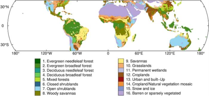 Global land cover categories of IGBP from SMAP product (40°S-40°N).