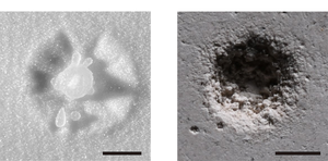 Droplet impacts comparison