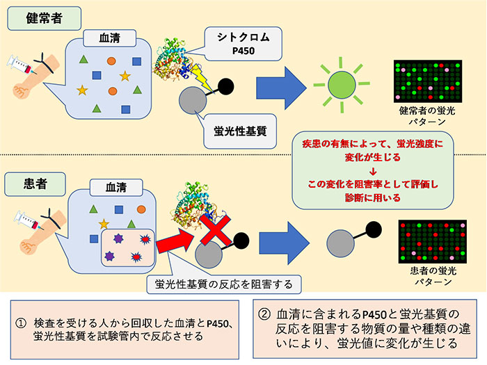 Figure 2 (Japanese version)