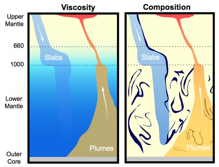 Slabs, Plumes, and the Megameter Divide