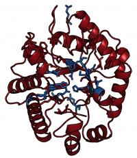 MbnB Protein Structure