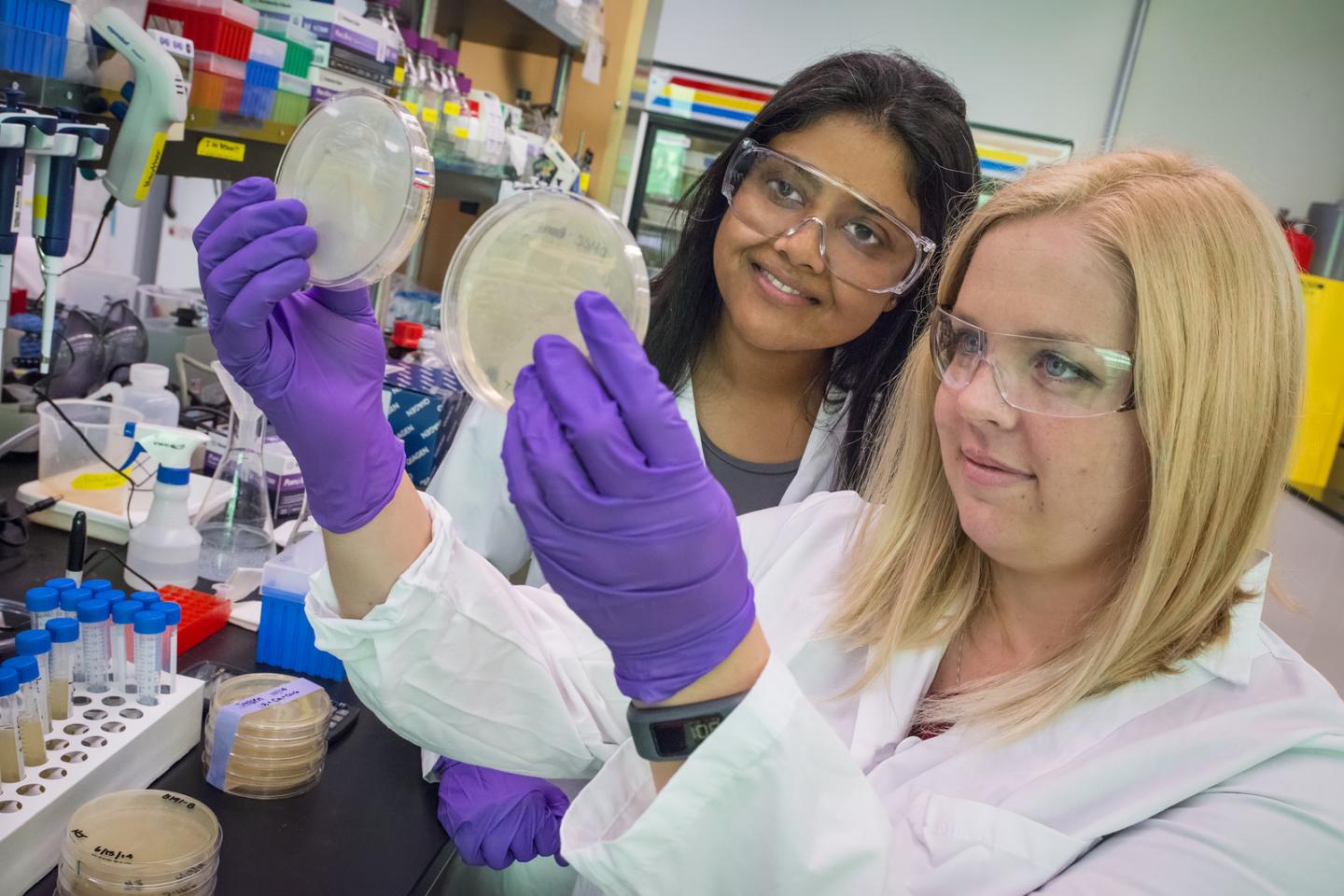 Aindrila Mukhopadhyay and Heather Jensen, Berkeley Lab