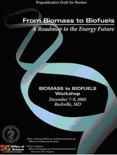 From Biomass to Biofuels