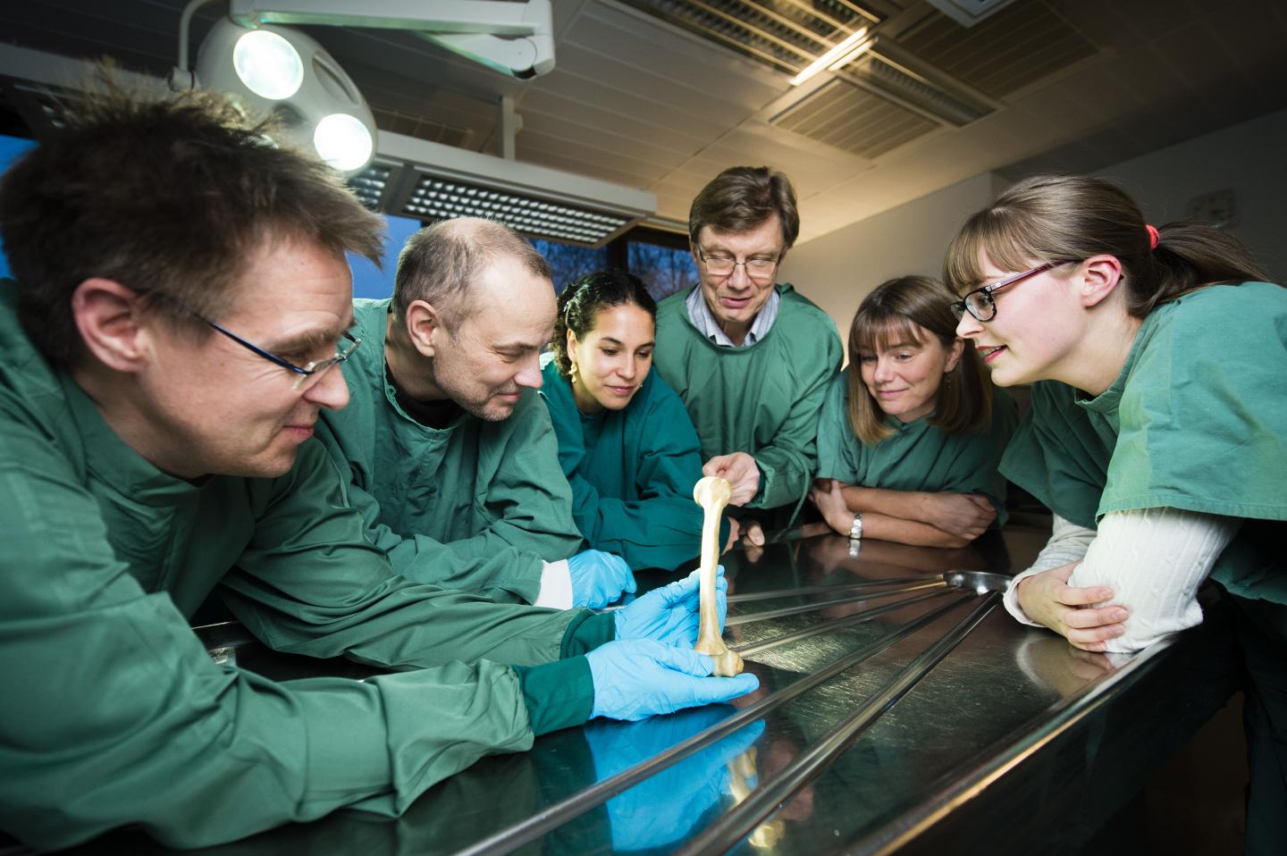 Viruses, Too, Are Our Fingerprint