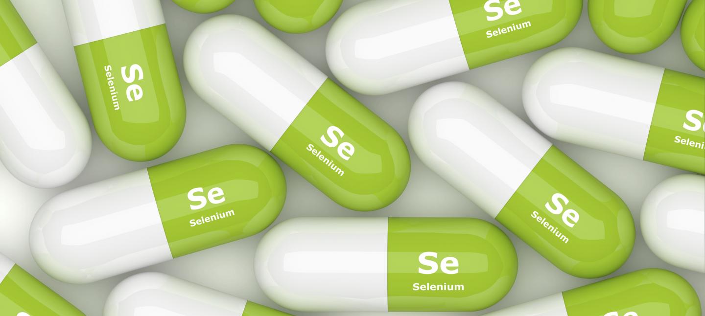 UA Cancer Center Team Questions Safety, Efficacy of Selenium and Colorectal Cancer Risk