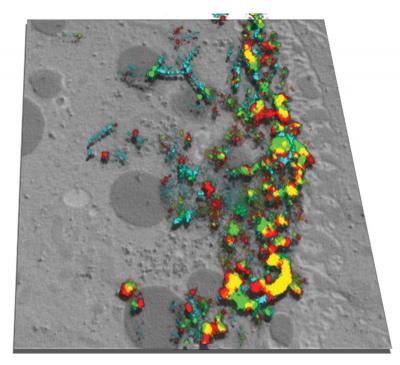 RNA on the Move in a Fruitfly Oocyte