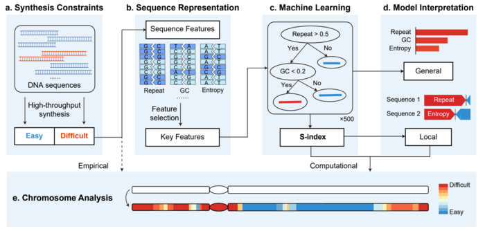 Figure 1. The workflow of the framework.