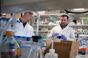 Boav Levi, Ph.D., (left) and John Mich, Ph.D., (right) in the laboratory at Allen Institute.