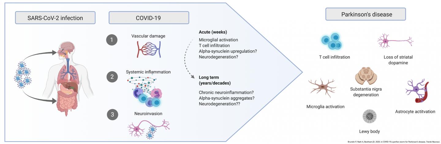 COVID-19 and Parkinson's