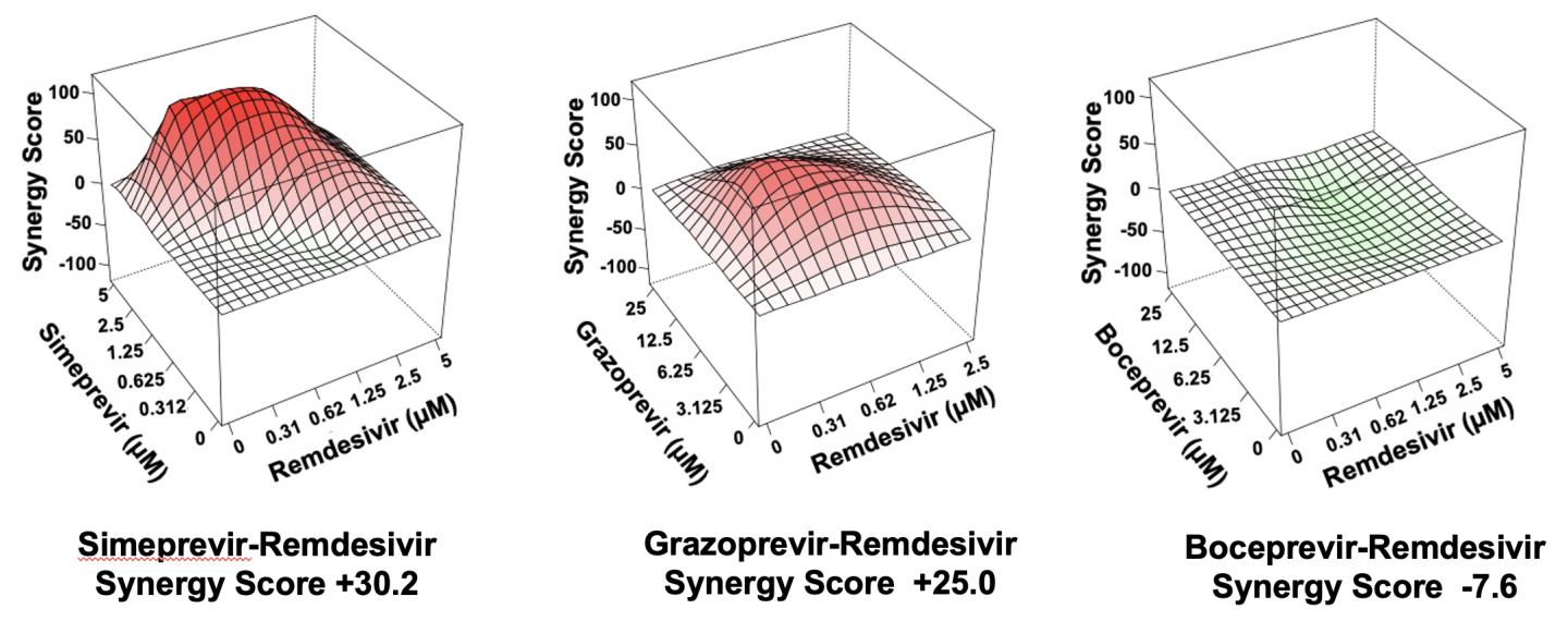 Synergy Scores