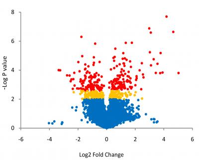 Volcano Plot [IMAGE] | EurekAlert! Science News Releases