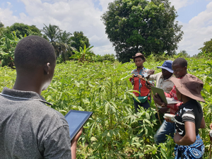 Farmers in Tanzania completing the survey