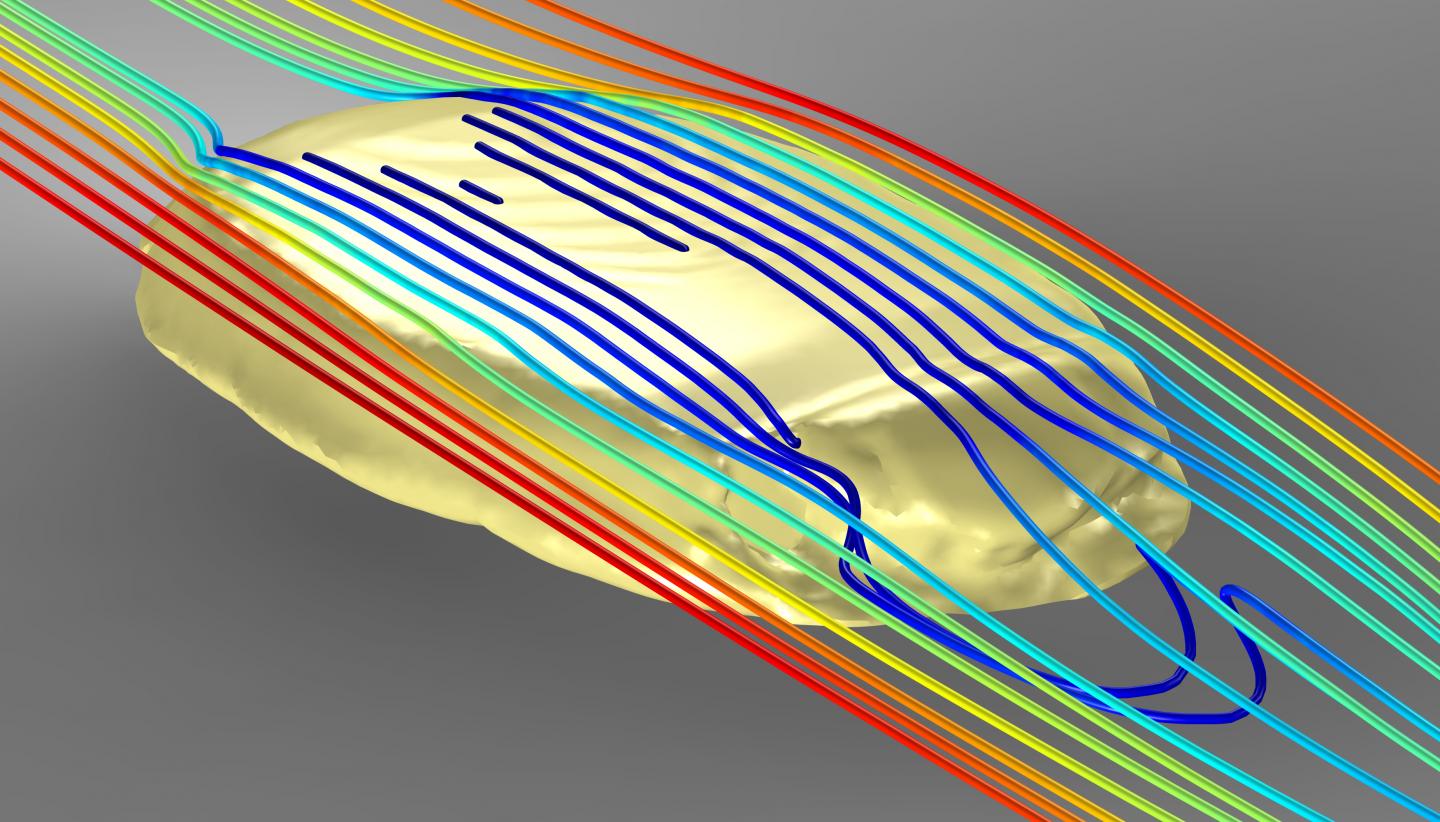 Computer Simulation Of Water Flow Around A 3-D Model Of Protocinctus Mansillaensis