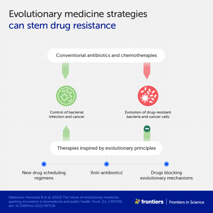 Evolutionary medicine strategies can stem drug resistance