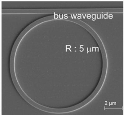 Scanning Electron Micrograph of Silicon Micro-ring Resonator