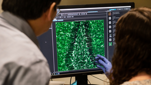 Yadong Huang and Nicole Koutsodendris at Gladstone Institutes