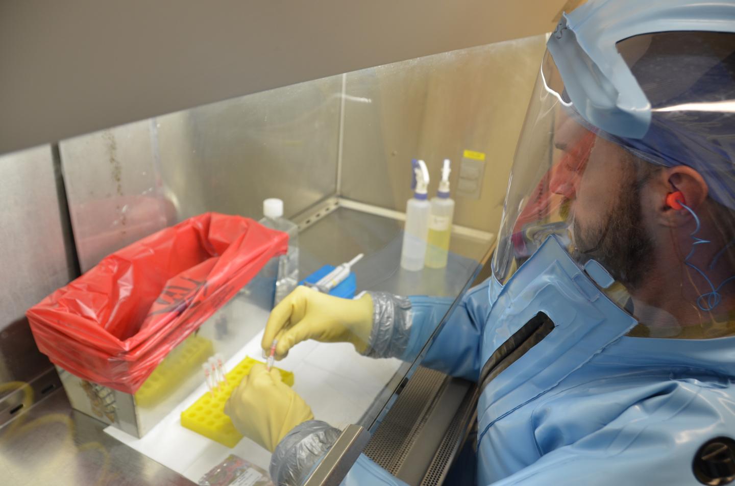 Robert Cross Working with New Ebola Diagnostic Test