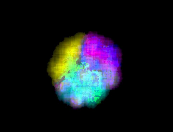 Nanoparticle with Six Interphases