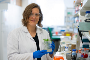 Associate Professor Caitlin Byrt. Photo: Nic Vevers/ANU