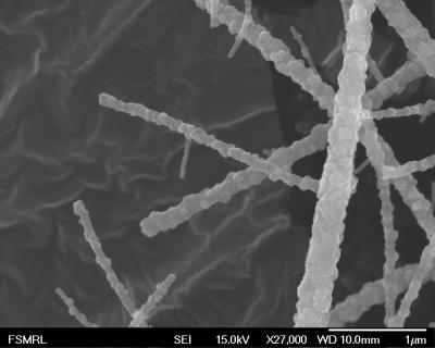 Nanofiber Adsorbent