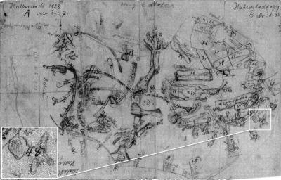 Excavation Map