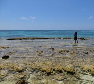 UNF professor Cliff Ross ocean salinity study