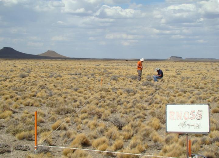 A Global Atlas of Soil Bacteria