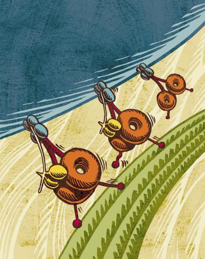 Cell Motors Keep on Truckin'