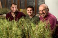 Bob Schmitz, Matt Schultz, and Joseph Ecker, Salk Institute for Biological  Studies 