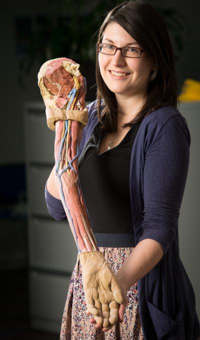 The 3D Printed Anatomy Series From Monash University