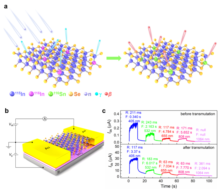 The schematic of the neutron transmutation doping of InSe and photoresponse of the 2D InSe device before and after transmutation.
