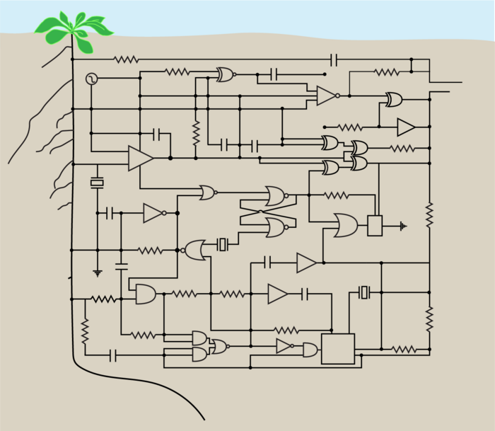 Plant circuits