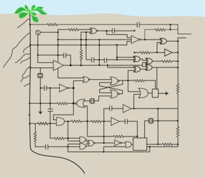 Plant circuits