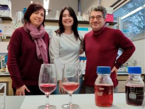 Part of the team that participated in the study. From left to right, Cristina Reguant, Candela Ruiz de Villa and Nicolas Rozès, from the Department of Biochemistry and Biotechnology of the Universitat Rovira i VIrgili.