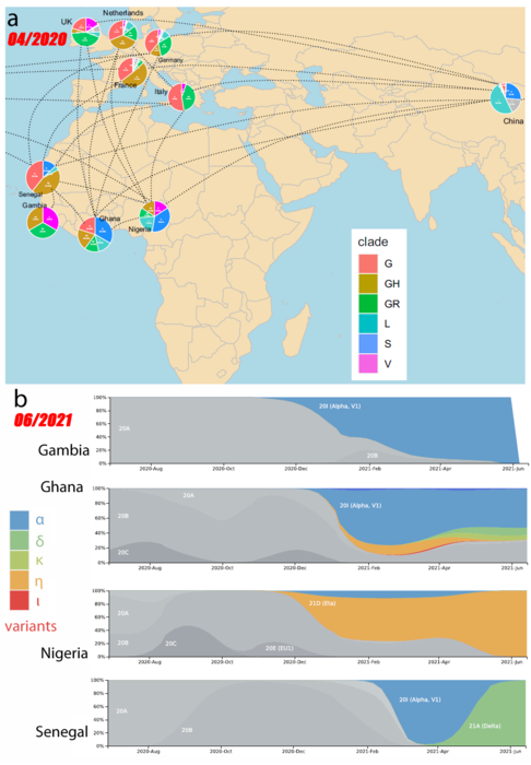 Map: different patterns of China- or Europe-based virus variants