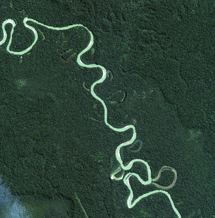 Natives' Impact on Amazon Forests Limited to Area Around Rivers