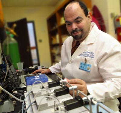 Dr. Ahmed Elmarakby, Georgia Health Sciences University